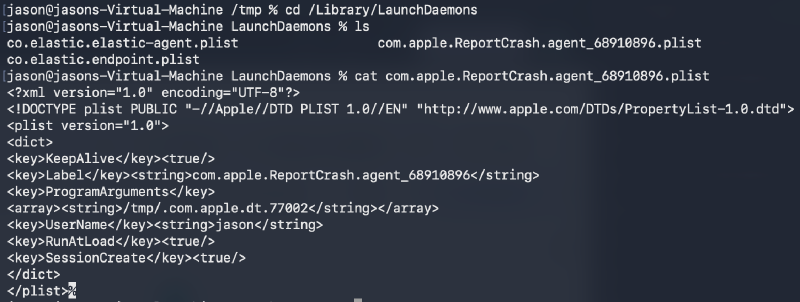 LaunchDaemon plist inspected from the surviving artifact