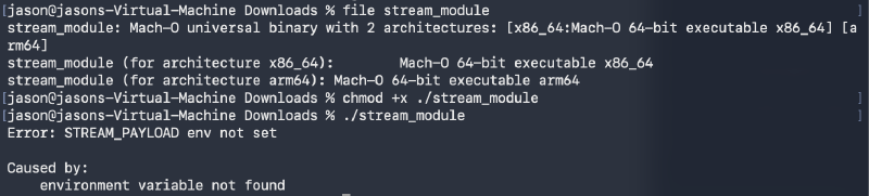 Standalone execution of the recovered stream_module